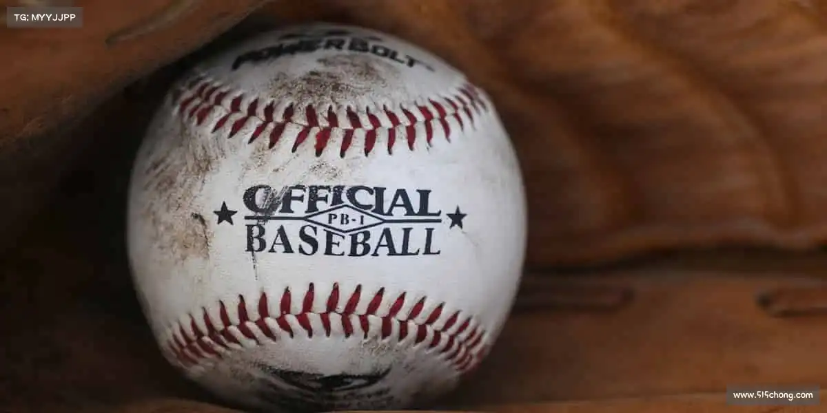 龙8国际——🏇马术优雅，与马共舞的贵族运动！